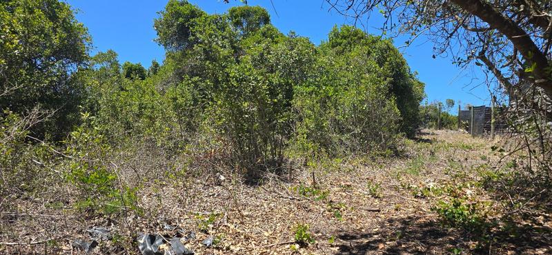 0 Bedroom Property for Sale in Groot Brakrivier Central Western Cape